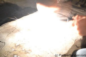 Firesteel fire starter