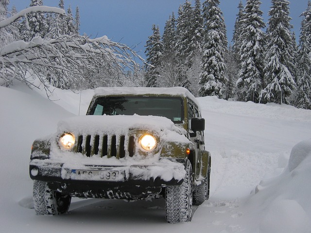 Winter survival when car breaks down far from civilization